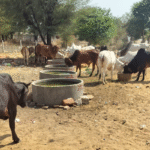 The Silent Lives We Cannot Ignore