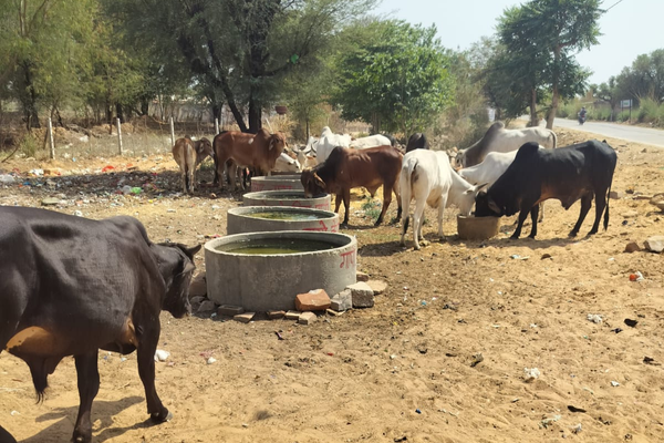 The Silent Lives We Cannot Ignore