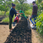 The Roots We Forgot to Water