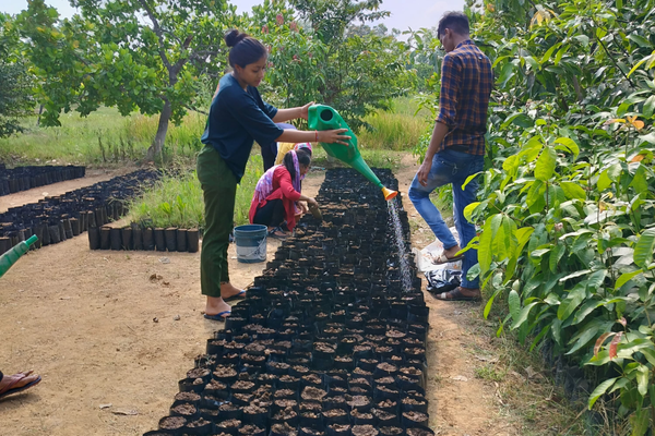 The Roots We Forgot to Water