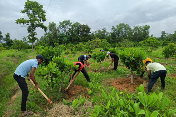 Green india initiative (7)